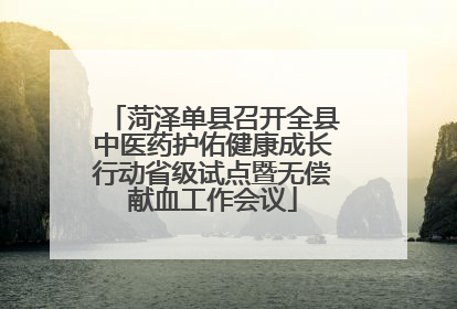 菏泽单县召开全县中医药护佑健康成长行动省级试点暨无偿献血工作会议