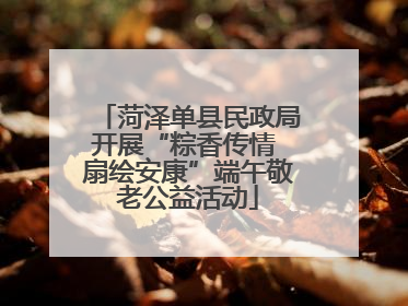 菏泽单县民政局开展“粽香传情 扇绘安康”端午敬老公益活动