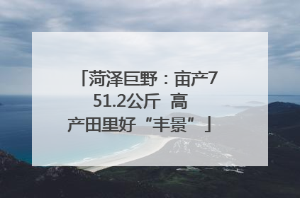 菏泽巨野：亩产751.2公斤  高产田里好“丰景”
