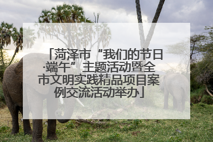 菏泽市“我们的节日·端午”主题活动暨全市文明实践精品项目案例交流活动举办