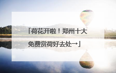 荷花开啦！郑州十大免费赏荷好去处→