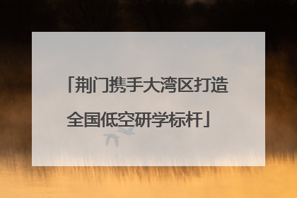 荆门携手大湾区打造全国低空研学标杆