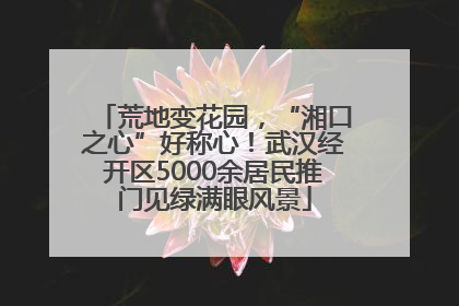 荒地变花园，“湘口之心”好称心！武汉经开区5000余居民推门见绿满眼风景