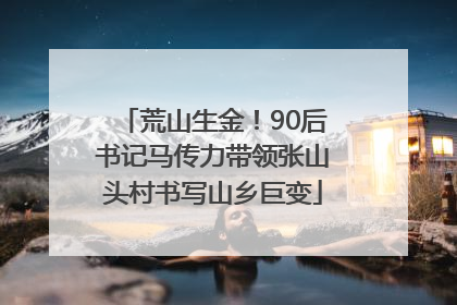 荒山生金！90后书记马传力带领张山头村书写山乡巨变
