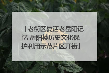 老街区复活老岳阳记忆 岳阳楼历史文化保护利用示范片区开街