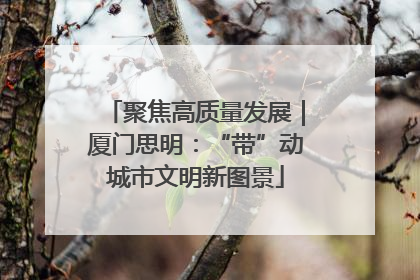 聚焦高质量发展｜厦门思明：“带”动城市文明新图景