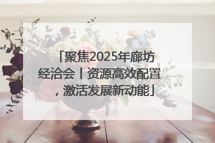 聚焦2025年廊坊经洽会丨资源高效配置，激活发展新动能