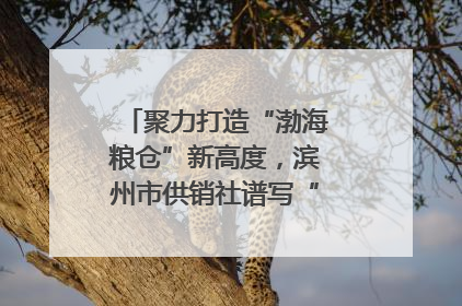 聚力打造“渤海粮仓”新高度，滨州市供销社谱写“三夏”丰收乐章
