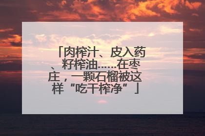 肉榨汁、皮入药、籽榨油……在枣庄，一颗石榴被这样“吃干榨净”
