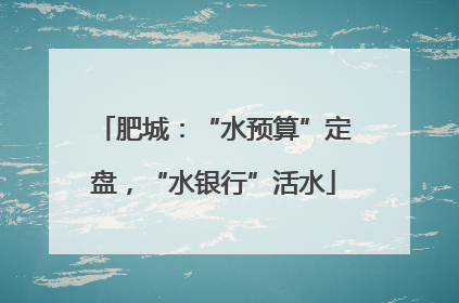 肥城：“水预算”定盘，“水银行”活水