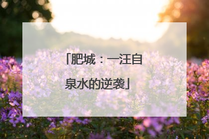 肥城：一汪自泉水的逆袭