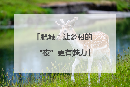 肥城：让乡村的“夜”更有魅力