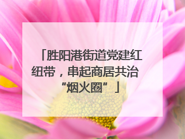 胜阳港街道党建红纽带，串起商居共治 “烟火圈”
