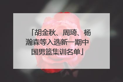 胡金秋、周琦、杨瀚森等入选新一期中国男篮集训名单