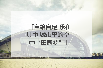 自给自足 乐在其中 城市里的空中“田园梦”