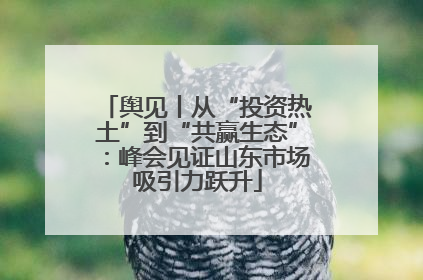 舆见丨从“投资热土”到“共赢生态”：峰会见证山东市场吸引力跃升