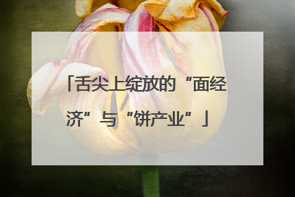 舌尖上绽放的“面经济”与“饼产业”