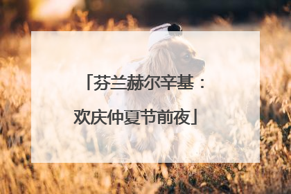 芬兰赫尔辛基：欢庆仲夏节前夜