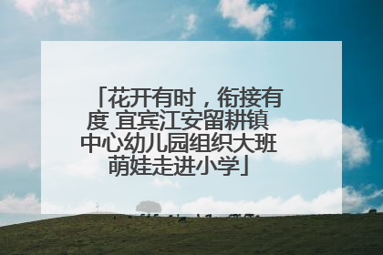 花开有时，衔接有度 宜宾江安留耕镇中心幼儿园组织大班萌娃走进小学