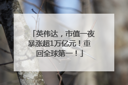 英伟达，市值一夜暴涨超1万亿元！重回全球第一！