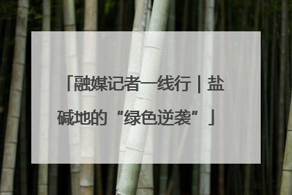 融媒记者一线行｜盐碱地的“绿色逆袭”