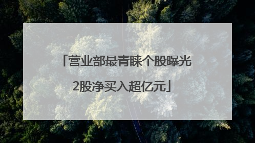 营业部最青睐个股曝光 2股净买入超亿元