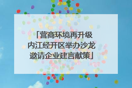营商环境再升级 内江经开区举办沙龙邀请企业建言献策