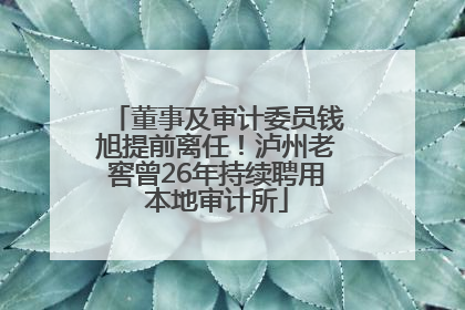 董事及审计委员钱旭提前离任！泸州老窖曾26年持续聘用本地审计所