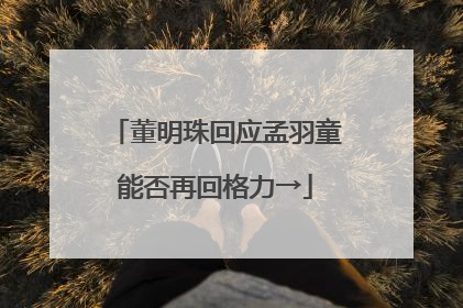 董明珠回应孟羽童能否再回格力→
