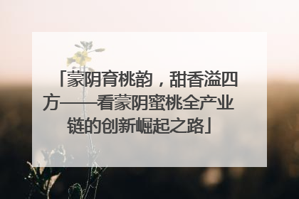 蒙阴育桃韵，甜香溢四方——看蒙阴蜜桃全产业链的创新崛起之路