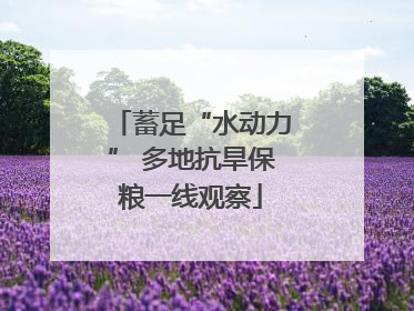 蓄足“水动力” 多地抗旱保粮一线观察