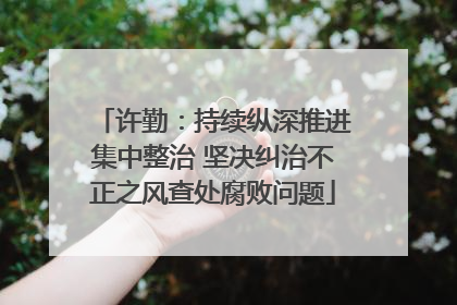 许勤：持续纵深推进集中整治 坚决纠治不正之风查处腐败问题