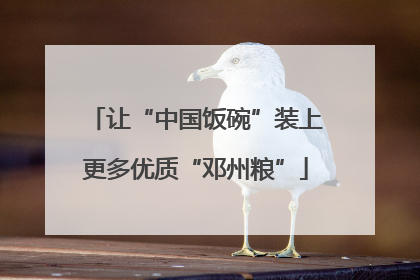 让“中国饭碗”装上更多优质“邓州粮”