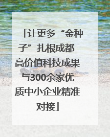 让更多“金种子”扎根成都 高价值科技成果与300余家优质中小企业精准对接