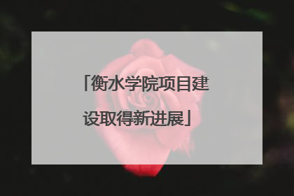 衡水学院项目建设取得新进展