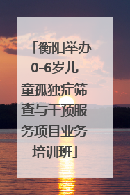 衡阳举办0-6岁儿童孤独症筛查与干预服务项目业务培训班