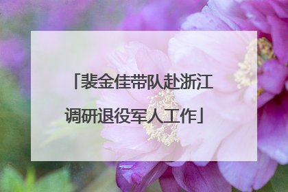 裴金佳带队赴浙江调研退役军人工作
