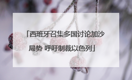 西班牙召集多国讨论加沙局势 呼吁制裁以色列