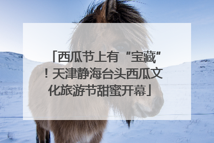 西瓜节上有“宝藏”！天津静海台头西瓜文化旅游节甜蜜开幕