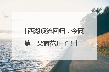西湖顶流回归：今夏第一朵荷花开了！