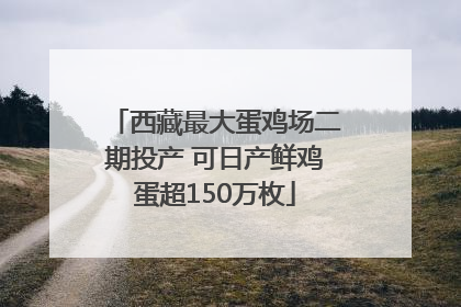 西藏最大蛋鸡场二期投产 可日产鲜鸡蛋超150万枚
