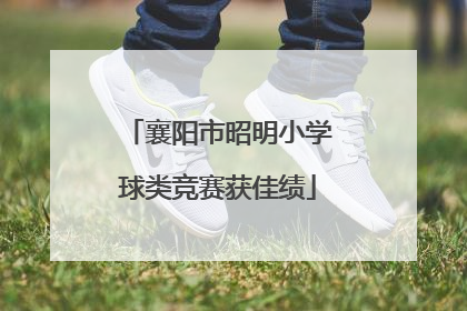 襄阳市昭明小学球类竞赛获佳绩