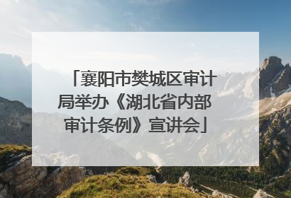 襄阳市樊城区审计局举办《湖北省内部审计条例》宣讲会