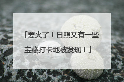 要火了！日照又有一些宝藏打卡地被发现！