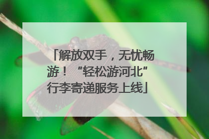 解放双手，无忧畅游！“轻松游河北”行李寄递服务上线