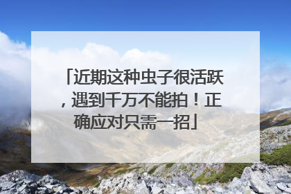 近期这种虫子很活跃，遇到千万不能拍！正确应对只需一招