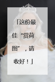 这份最佳“赏荷图”，请收好！