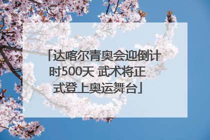 达喀尔青奥会迎倒计时500天 武术将正式登上奥运舞台