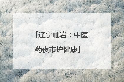 辽宁岫岩：中医药夜市护健康