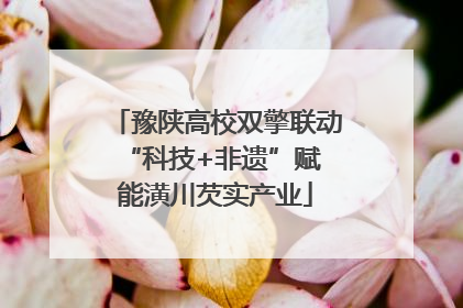 豫陕高校双擎联动 “科技+非遗”赋能潢川芡实产业